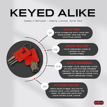 Equipment Lock | Trailer Cargo Door Lock